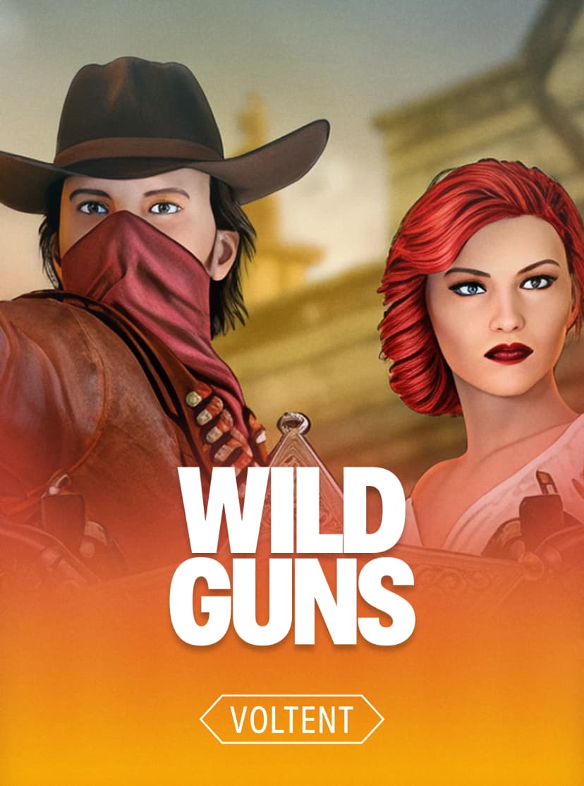 Wild Guns